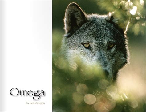 what is omega wolf|omega wolf facts.